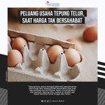 Tepung telur dapat menjadi alternatif penyimpanan saat harga telur sedang tidak bersahabat atau saat ketersediaannya berlimpah. Prinsipnya adalah dikeringkan sampai... 
