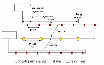 instalasi air minum ayam (nipple drinker)