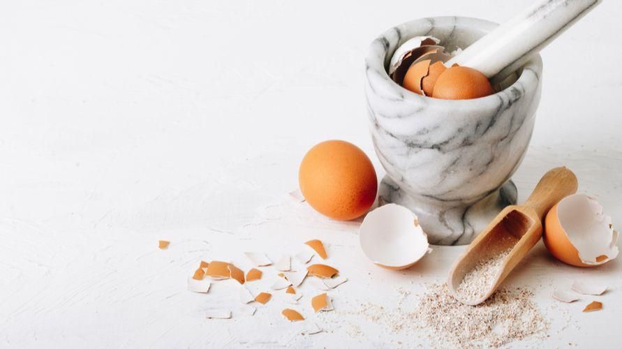 Manfaat Cangkang Telur Ayam
